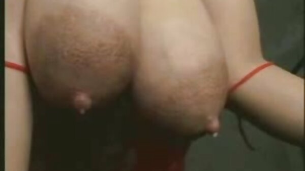 استخر